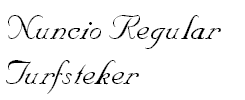 Nuncio Regular